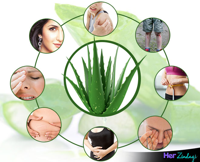 aloe vera health article final