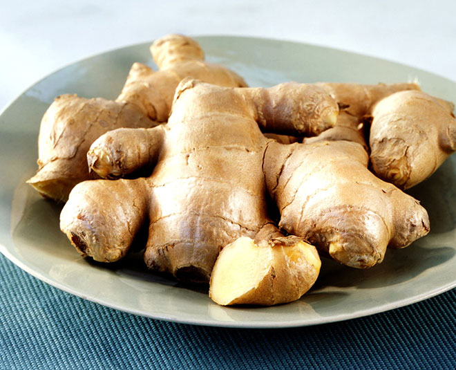 car bus vomiting inside