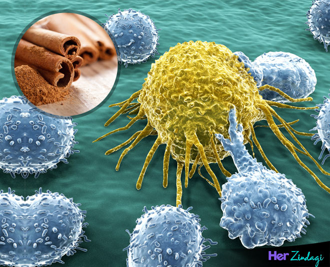 daalchinni health article inside