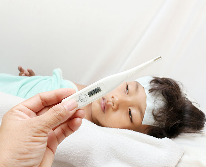 dengue virus inside image