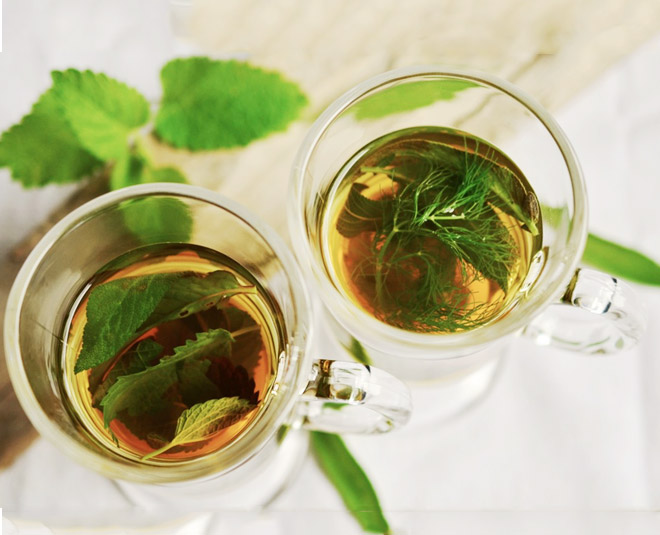 fresh leaf  tea benefits darjeeling inside image