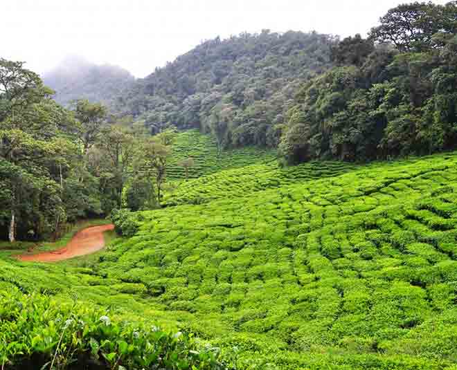 travel anytime places Inside