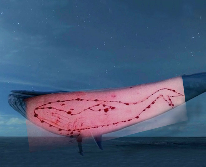 supreme court ban blue whale game insideimage v