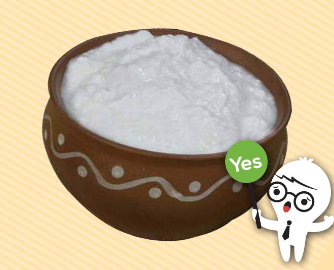 good gut bacteria curd