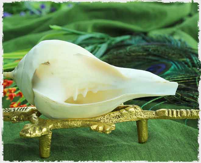 shankh health inside