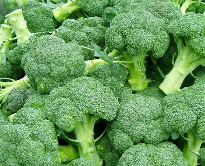 weight loss broccoli ininin