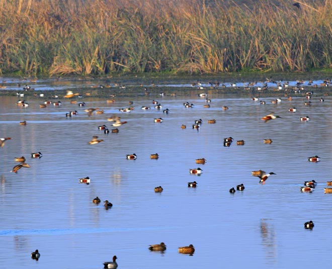 Delhi new weekend gateway is hundred kilometre far away