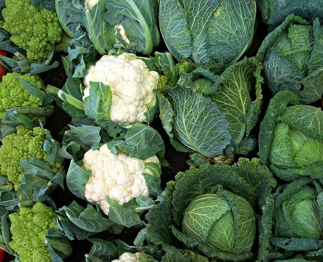 broccali cancer prevention inside