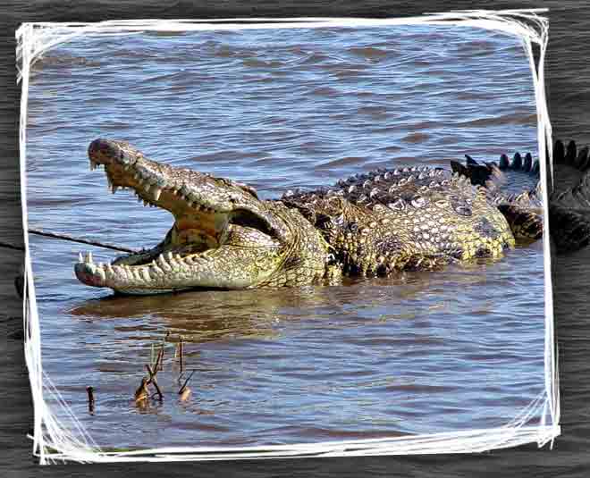 goa monsoon travel inside