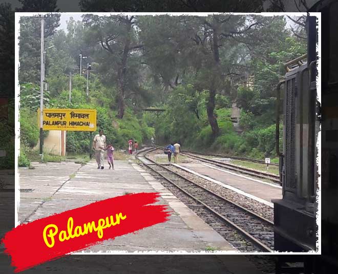 himachal kangra palampur