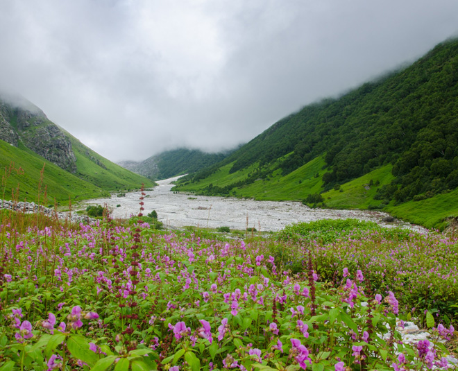 uttarakhand tourism night stay ban