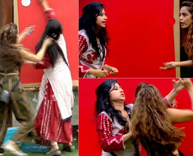Bigg boss season famous cat fights between female contestants