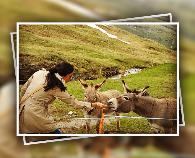 celebs passionate for travelling inside gulpanag