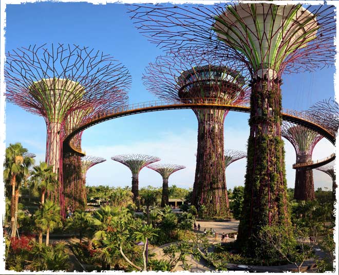 gardens by the bay singapore