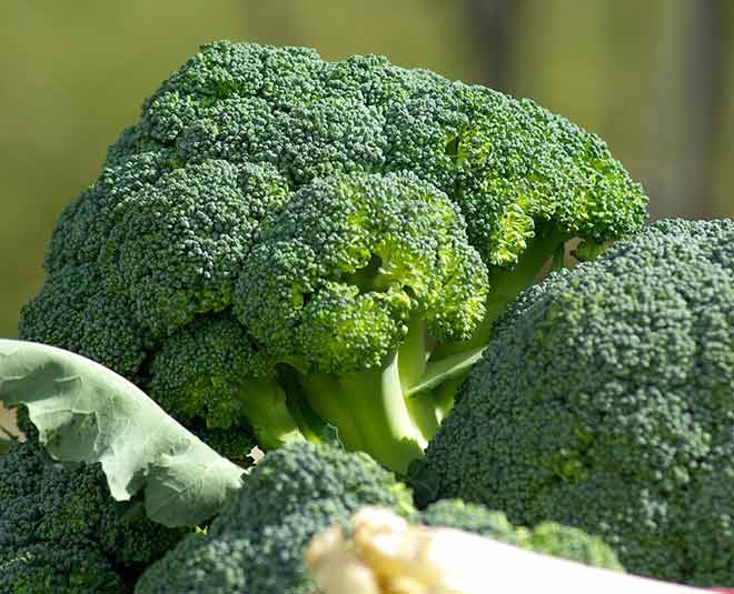 bloating problem broccali