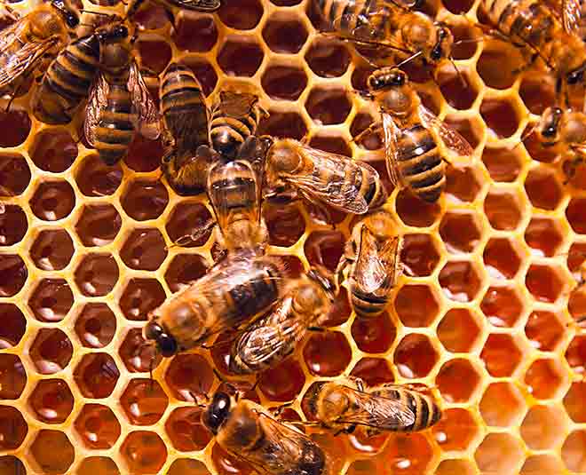 raw honey benefiits health