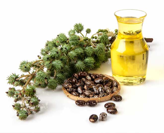 Oil benefits hairs caster oil beauty care hair care