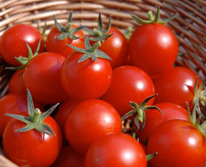 Things don't refrigerate tomato