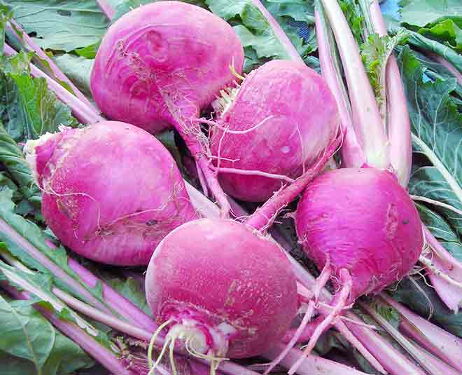 Turnip benefits inside