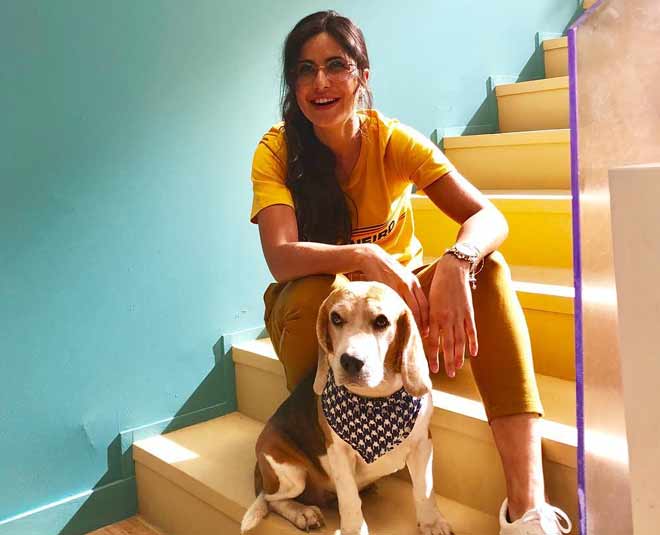 Bollywood actresses looks beautiful without makeup