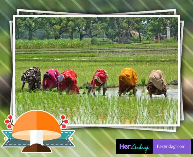 anupam kumari  mushroom girl