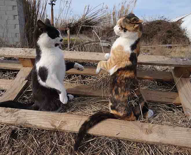 communicaton is important