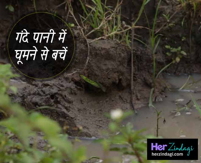 leptospirosis health ()