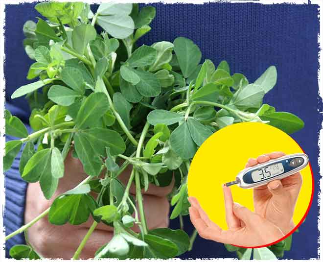 methi diabetes health plants inside