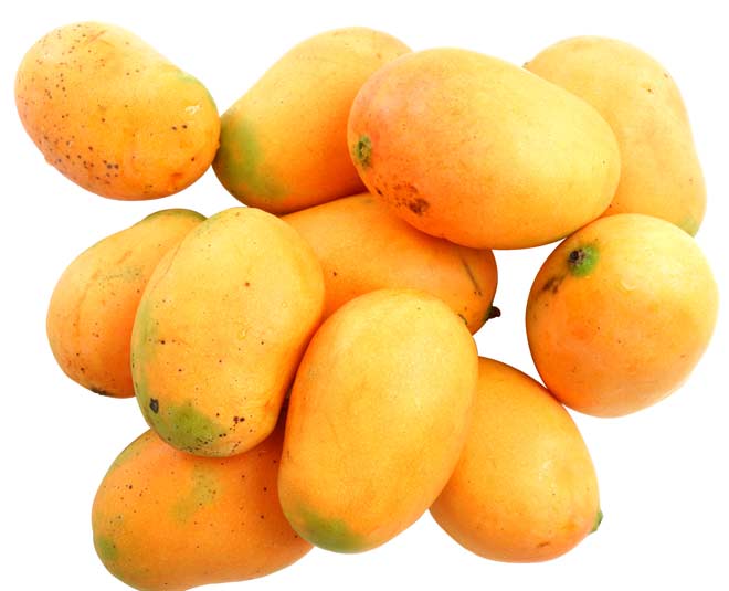 Interesting facts about mango will make you mango lover ()