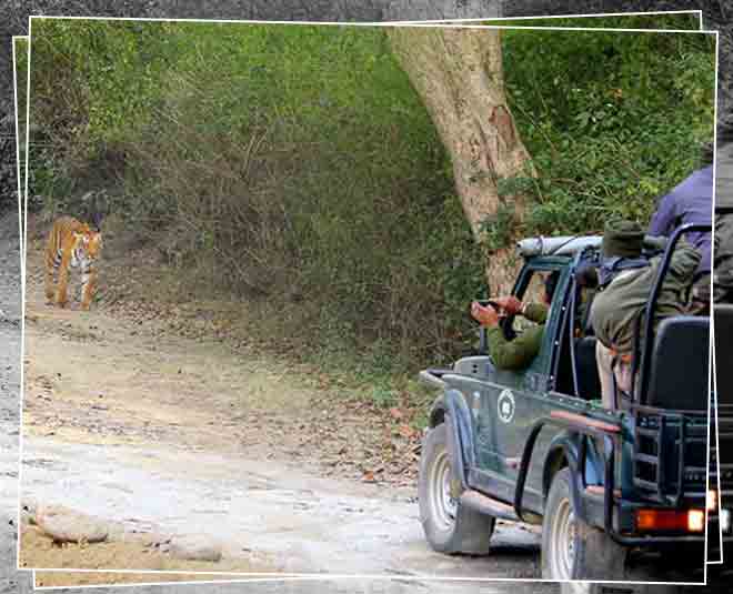 JIM CORBETT inside