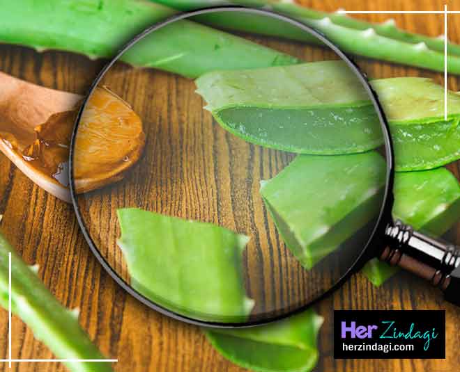 aloevera thigh rashes inside