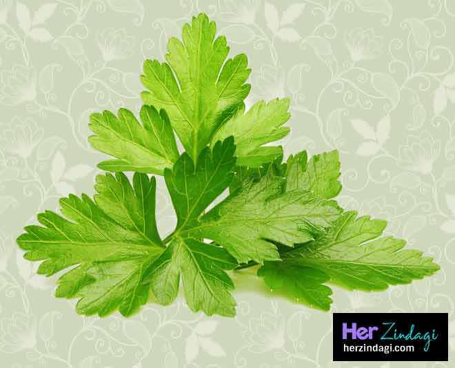 dhaniya patti ko fresh rakhna hai inside