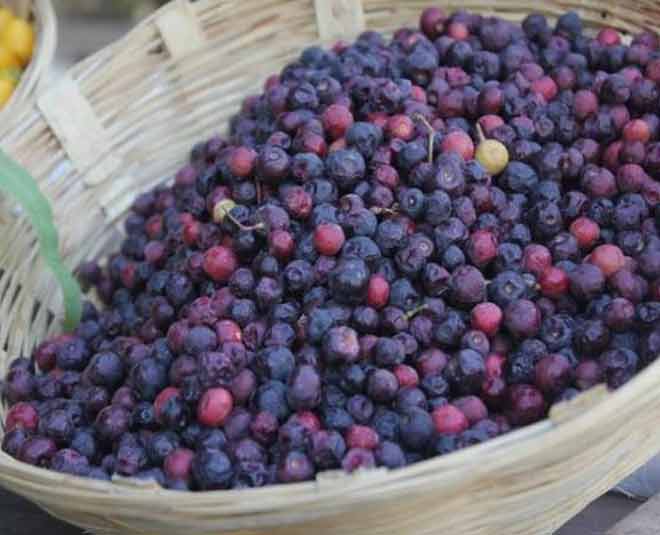 phalse ka sharbat summer juice inside