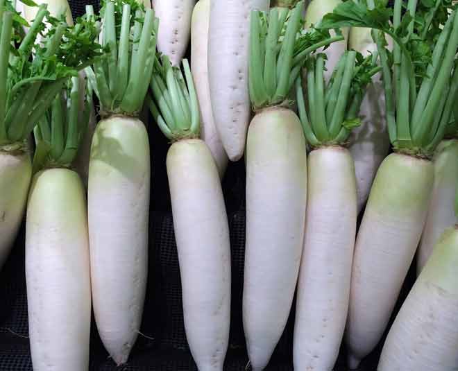 stomach worms remedies radish