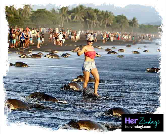 Beautiful places made by nature ()