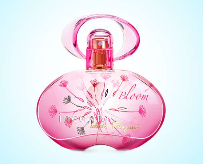 Low budget perfumes fills freshness in your day ()