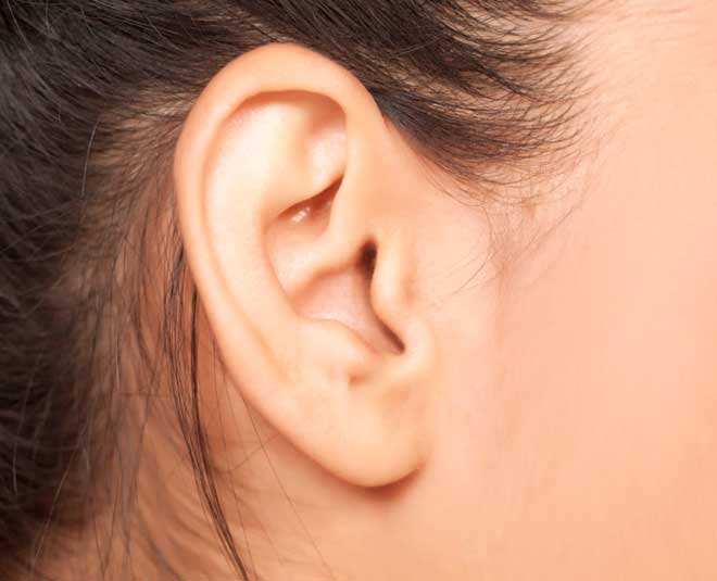 according to samudra shastra women big body parts give them money ()