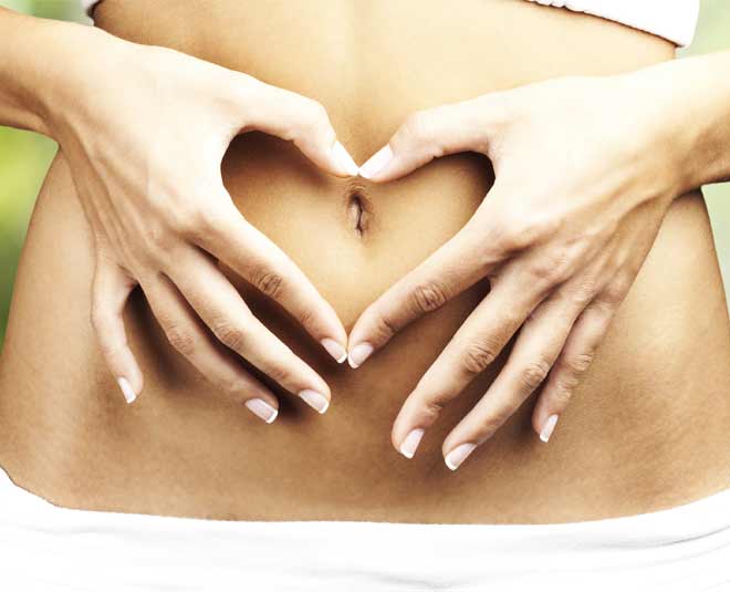 digestive system kiwi in