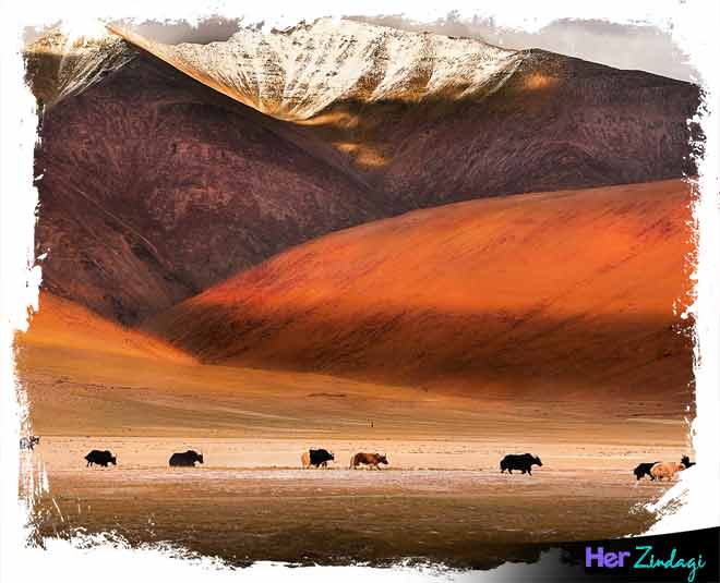 ladakh less popular places inside