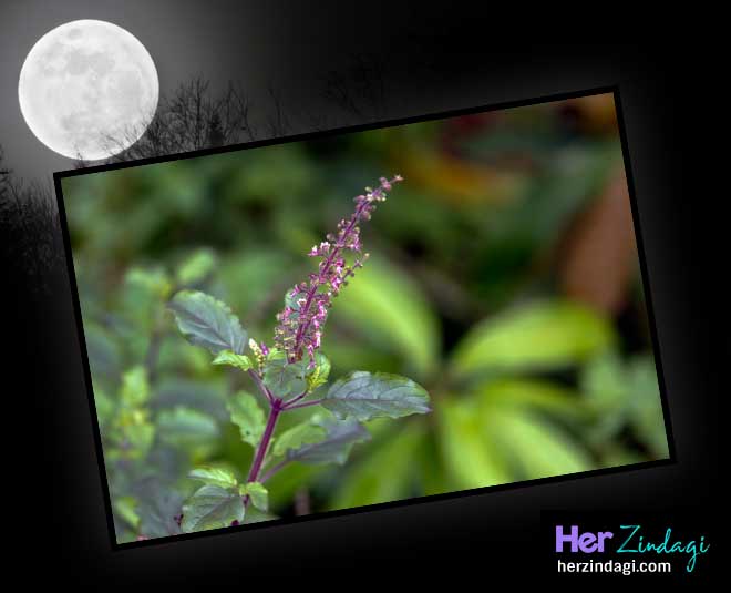 myth around few things not to do at evening ()