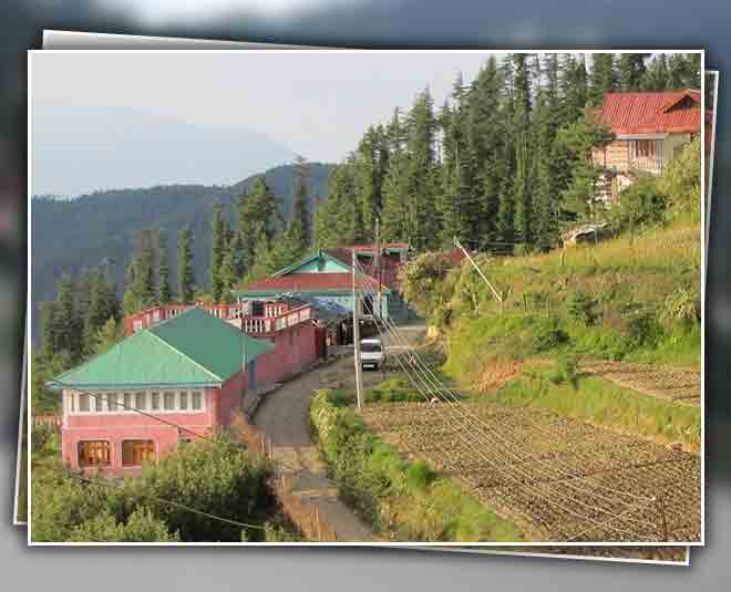 summer vacation shimla ()