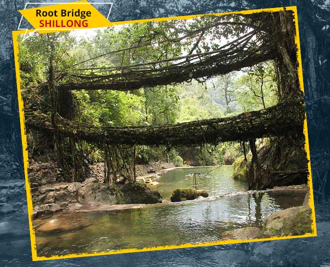 root bridge inside