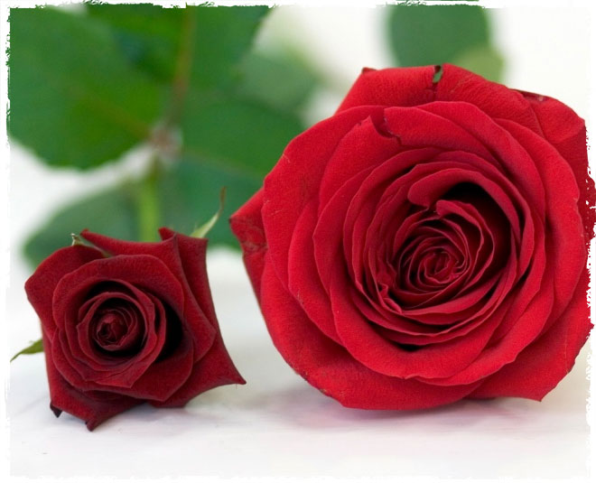 vastu tips for happy married life inside