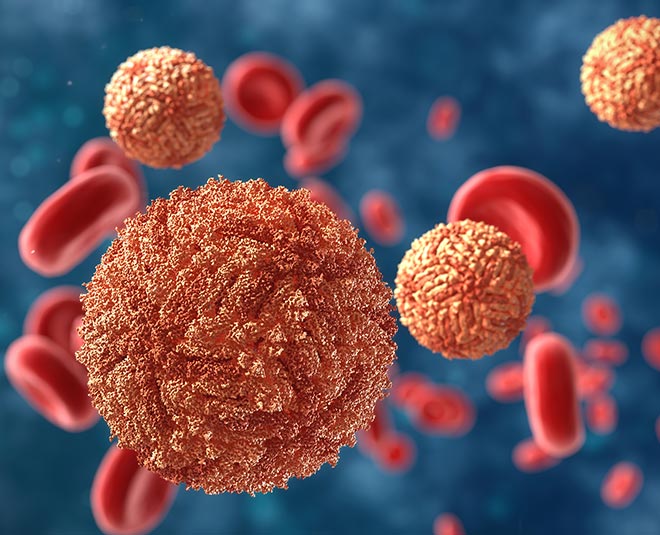 zika virus health card ()