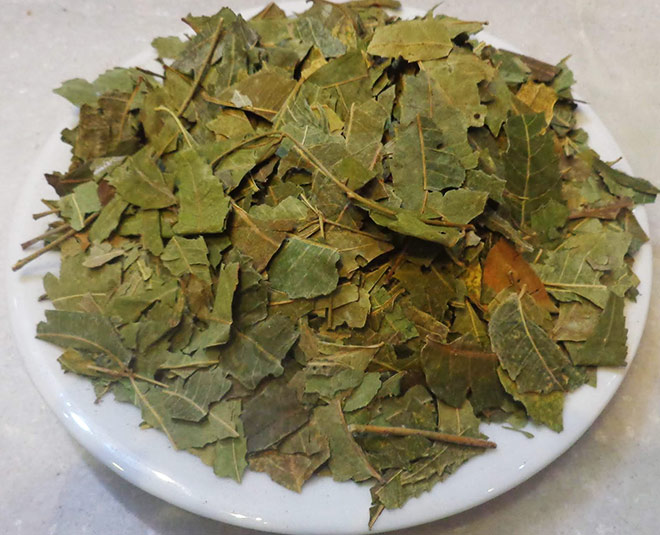 Tips to remove paint odour from your home