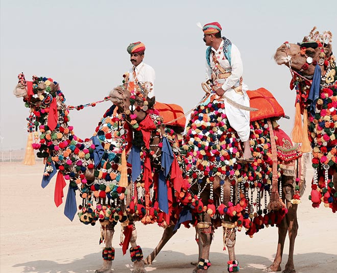 Visit international pushkar camel mela at rajasthan this November