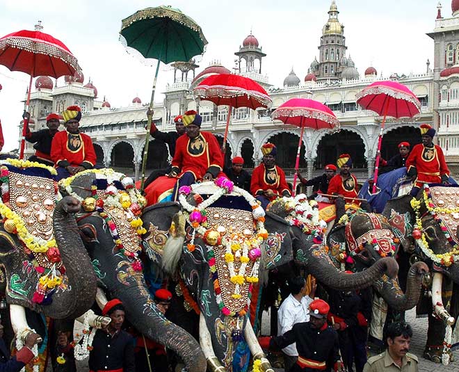 jumbo sawari mysuru dasara