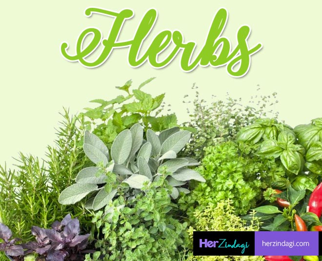 tips to stay healthy in changing weather inside