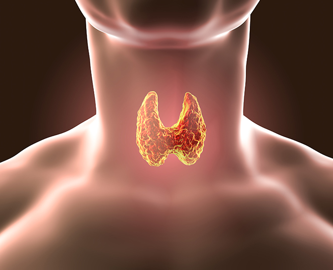 wheatgrass and amla juice inside shutterstock