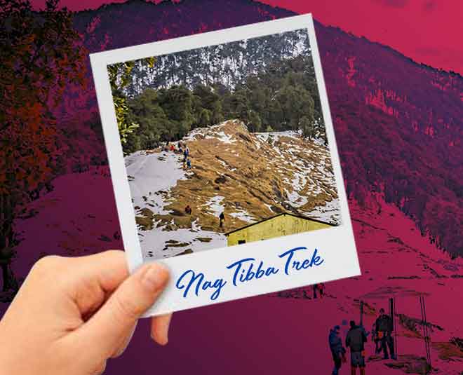 activities enjoy in mussourie inside